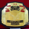 1st ECW Tag Team Wrestling Championship Title Belt