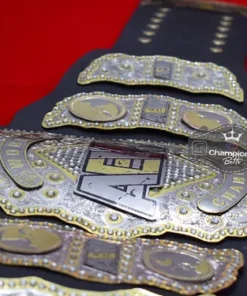 AEW World Heavyweight Wrestling Double Layer Championship Belt 2