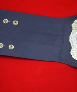 AEW World Heavyweight Wrestling Double Layer Championship Belt 6