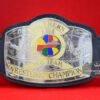 AWA Tag Team Southern Wrestling Championship Belt