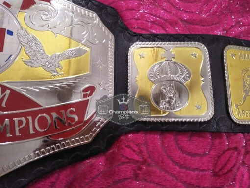 AWA World Tag Team Wrestling Championship Title Belt4