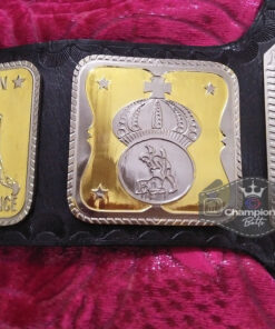 AWA World Tag Team Wrestling Championship Title Belt5