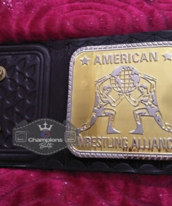 AWA World Tag Team Wrestling Championship Title Belt7