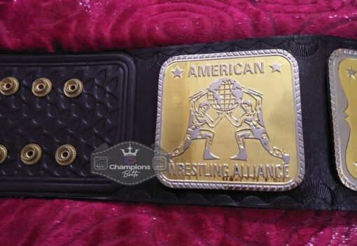 AWA World Tag Team Wrestling Championship Title Belt7