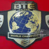 BTE World Championship Leather Belt 24KT Gold Zinc 4MM Plates