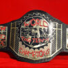 ECW Tag Team Championship Wrestling Belt