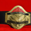 ECW World Television Championship Adult Size Belt