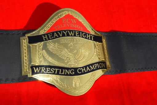 ECW World Television Championship Adult Size Belt 2