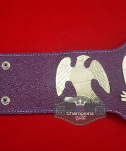 IWA International Milk Mascara Heavyweight Wrestling Championship Belt 5