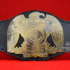 IWA North America Heavyweight Wrestling Championship Belt2