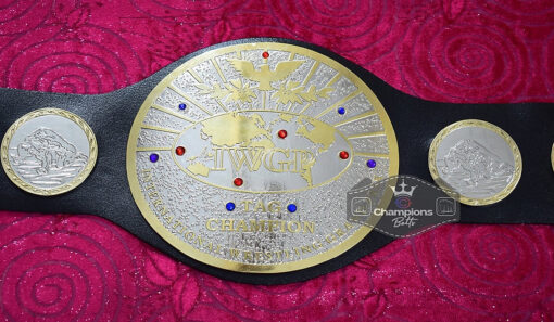 IWGP Tag Team Championship Belt3