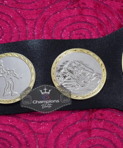 IWGP Tag Team Championship Belt4