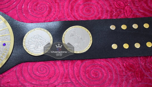 IWGP Tag Team Championship Belt6