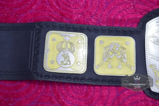 Mid-South Tag Team Wrestling Championship Belt3