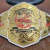 NEW TNA Knockouts World Wrestling Championship Pure Leather Belt (2024)