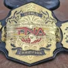 NEW TNA World Wrestling Championship Pure Leather Belt (2024)