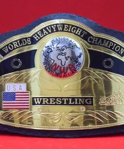 NWA Domed Globe World Heavyweight Wrestling Championship Belt