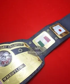 NWA Domed Globe World Heavyweight Wrestling Championship Belt3