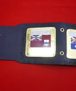 NWA Domed Globe World Heavyweight Wrestling Championship Belt6