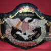 NWA International Tag Team Championship Belt