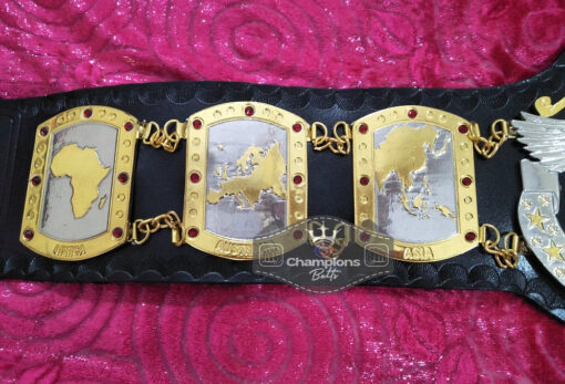 NWA International Tag Team Championship Belt 4