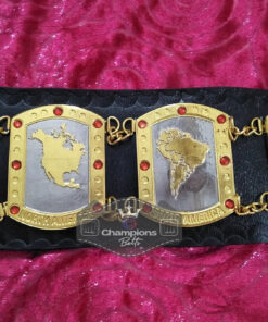 NWA International Tag Team Championship Belt 5