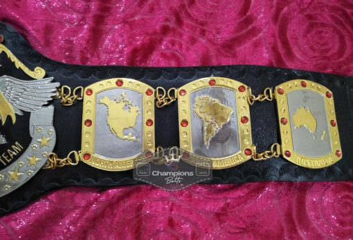 NWA International Tag Team Championship Belt 5