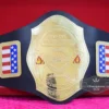 NWA National Tag Team Championship Wrestling Belt