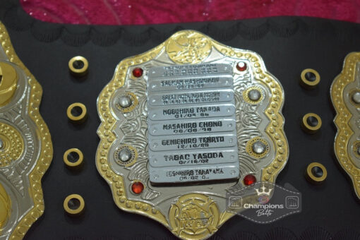 New Version 4 - New Heavyweight Wrestling Championship Belt5