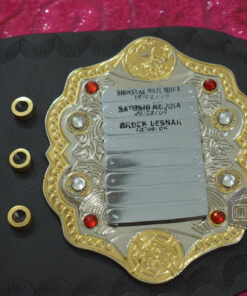 New Version 4 - New Heavyweight Wrestling Championship Belt6