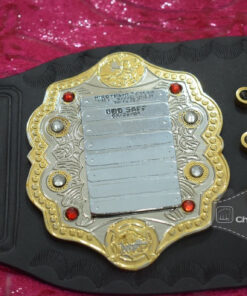 New Version 4 - New Heavyweight Wrestling Championship Belt7