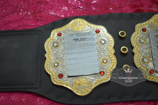 New Version 4 - New Heavyweight Wrestling Championship Belt7