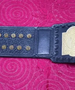 Old Era WWF Tag Team Wrestling Championship Belt