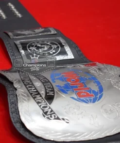 Old Wrestling Dual Tag Team Championship Belt3