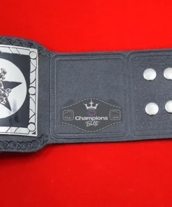 Old Wrestling Dual Tag Team Championship Belt5