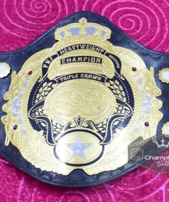 PWF Triple Crown World Heavyweight Wresting Championship Belt2