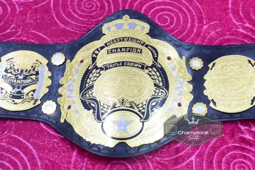 PWF Triple Crown World Heavyweight Wresting Championship Belt2