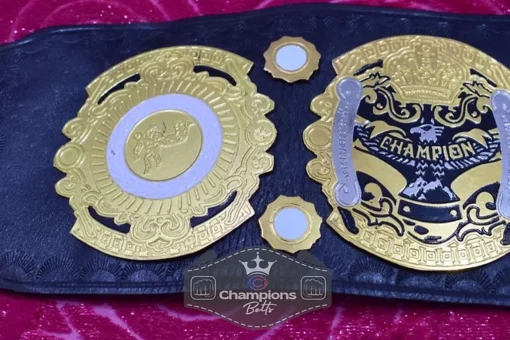 PWF Triple Crown World Heavyweight Wresting Championship Belt3