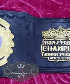 PWF Triple Crown World Heavyweight Wresting Championship Belt4