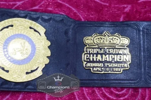 PWF Triple Crown World Heavyweight Wresting Championship Belt4