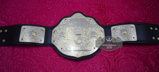 Ric Flair Black Strap World Heavyweight Championship Belt 2