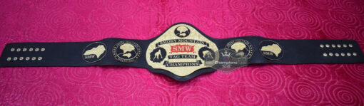 SMW Smoky Mountain Tag Team Championship Belt2