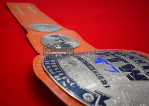 TAZ FTW World Wrestling Championship Belt 4