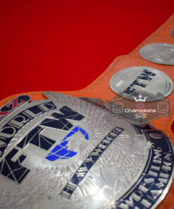 TAZ FTW World Wrestling Championship Belt 6