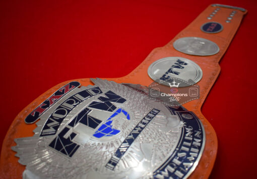 TAZ FTW World Wrestling Championship Belt 6