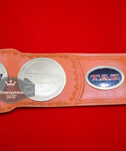 TAZ FTW World Wrestling Championship Belt 7