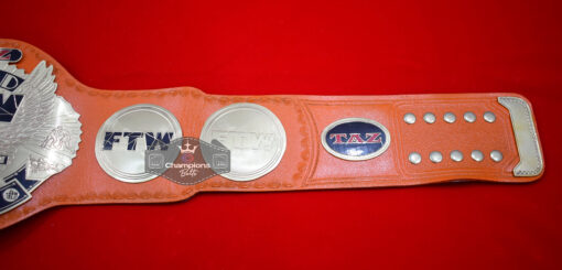 TAZ FTW World Wrestling Championship Belt 7