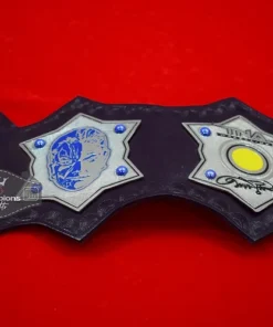 TNA Immortal Jeff Hardy Championship Belt4