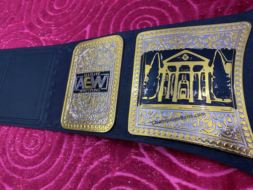 TNT Wrestling Championship Belt AEW 4