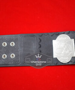 WWC Puerto Rico Heavyweight Wrestling Championship Belt6